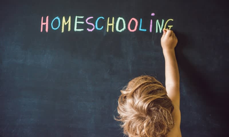 Keuntungan dan Kekurangan Homeschooling Yang Harus Dipahami